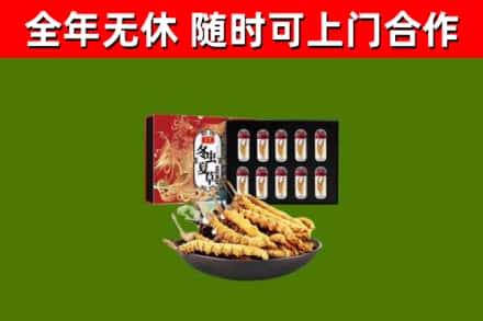 濉溪烟酒回收冬虫夏草礼盒.jpg